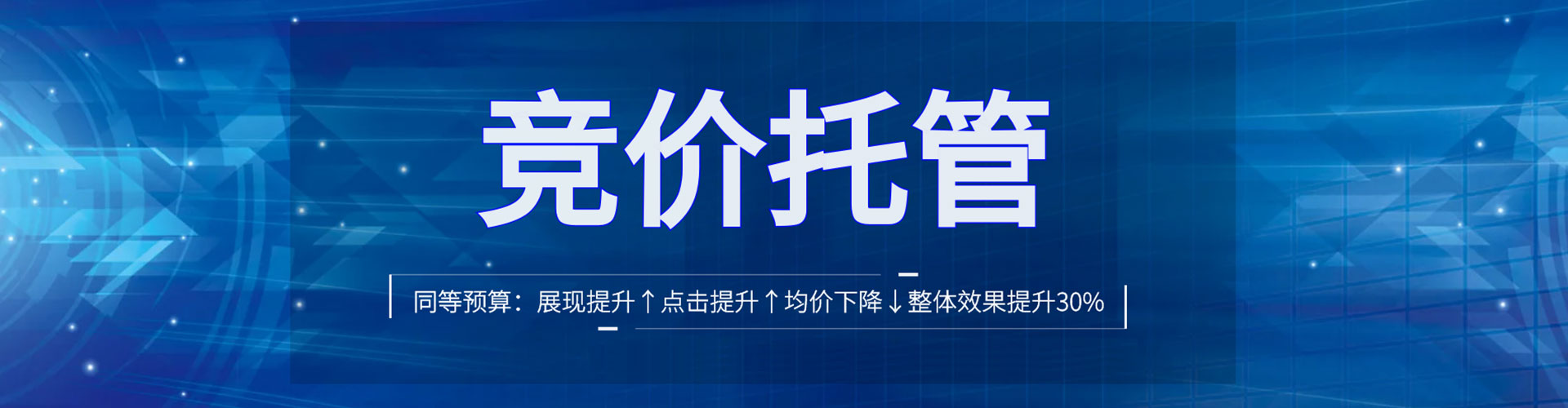 道里网络推广竞价